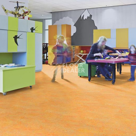 Forbo Marmoleum Decibel on Order 341135 sunny day фото 2 | FLOORDEALER